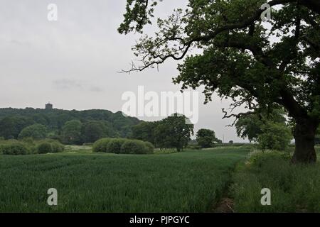 Der Sandstein Trail in Cheshire, ist eine wunderschöne und malerische Trail, für Wanderer jeden Alters. Stockfoto