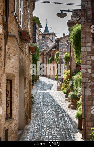 Blick auf das historische Zentrum der Stadt Spello, Umbrien - Italien Stockfoto