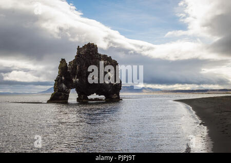 Hvítserkur troll Rock, ist ein 15 Meter hoher Basalt aus Stack am Ufer des North-west Island entfernt. Der Stapel hat das Aussehen von einem Drachen, oder eleph Stockfoto