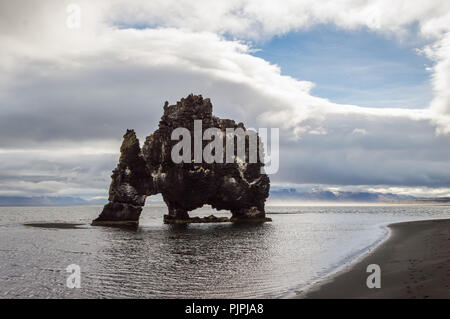 Hvítserkur troll Rock, ist ein 15 Meter hoher Basalt aus Stack am Ufer des North-west Island entfernt. Der Stapel hat das Aussehen von einem Drachen, oder eleph Stockfoto