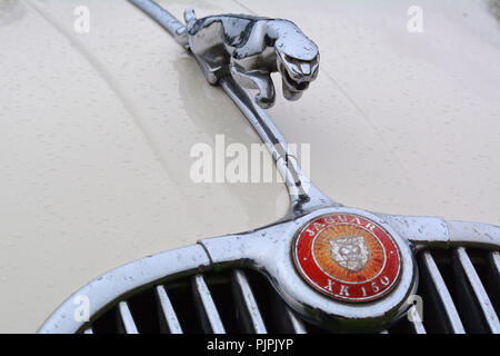 Nahaufnahme Foto von einem klassischen Jaguar XK 150 Auto Stockfoto