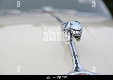 Nahaufnahme Foto von einem klassischen Jaguar XK 150 Auto Stockfoto
