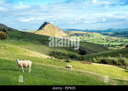 Chrom Hügel im Oberen Tal in der Nähe von Dove Hollinsclough, Peak District National Park Stockfoto