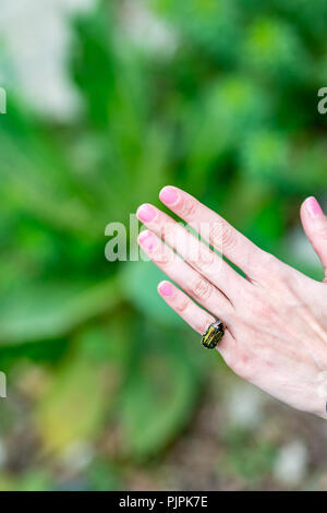 Grüne rose Käfer oder Cetonia aurata in Lateinamerika, hat auf der Kleinen pinky Finger auf weibliche Hand mit rosa Nagellack gelandet Stockfoto