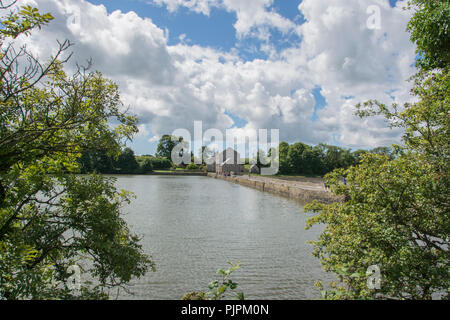 Carew Castle Pembrokeshire South Wales Stockfoto