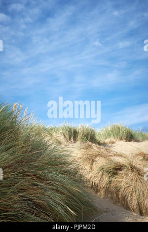 Sunlit Sanddünen in Gräsern vor blauem Himmel bedeckt, Sommer Stockfoto
