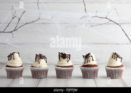 Festliche Halloween Cupcakes mit Schokolade Spinnen in einer Reihe auf weißen Holzbohlen, spider web Hintergrund Stockfoto