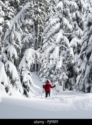 Winter Schneeschuhwandern in Powder in der Nähe von Bend Oregon Stockfoto