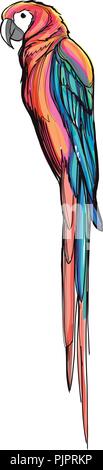 Hand gezeichnet Vektor digitale Illustration einer bunten Vogel Vogel Stock Vektor