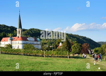 Gumpoldskirchen: Deutschordensschloss (Deutsch Um Burg), Weinberg, Wein, Wienerwald, Wienerwald, Niederösterreich, Lower Austria, Austria Stockfoto