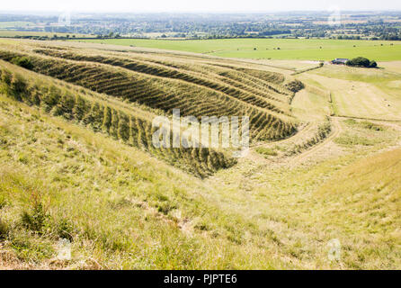 Terracettes Chalk escarpment Hang mit Lehm vale Jenseits, Blick nach Calne aus der Nähe von Morgan's Hill, Wiltshire, England, Großbritannien Stockfoto