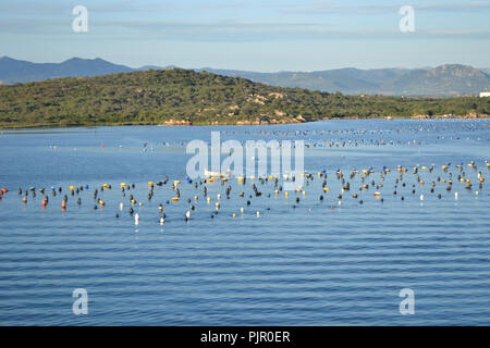 Landschaft rund um Olbia, Blick von der Kreuzfahrt Schiff in den Hafen von Olbia auf Sardinien Anreise Stockfoto