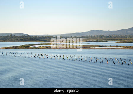 Landschaft rund um Olbia, Blick von der Kreuzfahrt Schiff in den Hafen von Olbia auf Sardinien Anreise Stockfoto