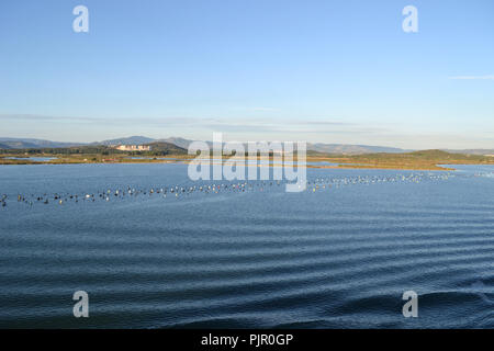 Landschaft rund um Olbia, Blick von der Kreuzfahrt Schiff in den Hafen von Olbia auf Sardinien Anreise Stockfoto