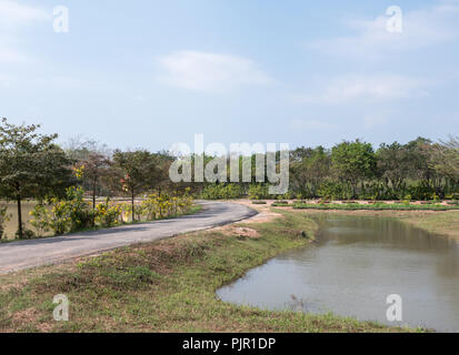 Kurve asphaltierte Straße entlang der kleinen Teich zu dem Land Bauernhof in Thailand. Stockfoto