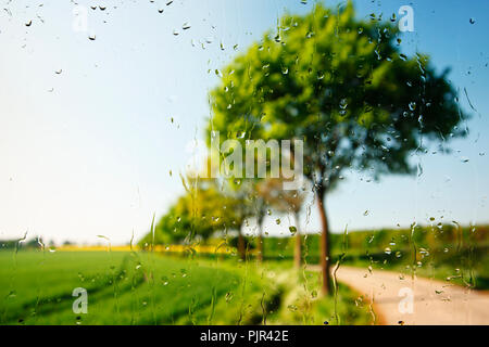 Wunderschöne grüne Landschaft durch ein Regentropfen fallen Fenster gesehen. Stockfoto