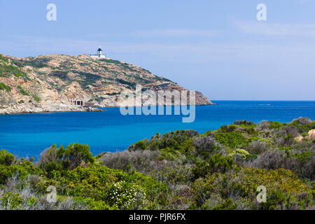 Leuchtturm, Pointe de La Revellata, Calvi, Korsika, Frankreich Stockfoto