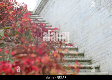 Roter Herbst Efeu an Steintreppen eines Herrenhauses Stockfoto