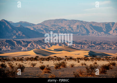 Mesquite flachen Sand Dünen, Amargosa Range in Distanz, Sonnenuntergang, Death Valley National Park, Kalifornien, USA Stockfoto