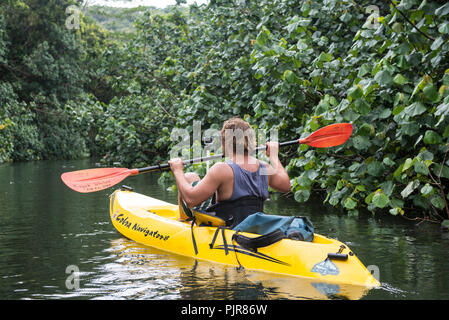Man paddeln Kajak, Kauai Stockfoto