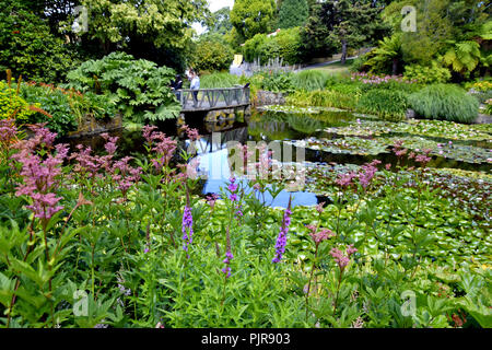 Garten Weg um Teich Stockfoto