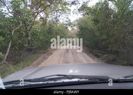Das Fahren eines Allrad Jeep durch den Dschungel von Fraser Island, Australien für den Fahrer Stockfoto