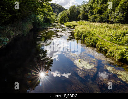 Sonnenlicht spiegelt sich in den Fluss Wye an Chee Dale in der Derbyshire Peak District de im Sommer Stockfoto