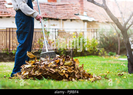 Mann sammeln gefallenen Blätter im Herbst in der Heimat Hof Stockfoto