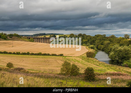 Das denkmalgeschützte Alnmouth Viadukt, die die East Coast Main Line über den Fluss Aln, nördlich von Alnmouth Station, Northumberland, Großbritannien trägt Stockfoto