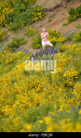 Frau, Wandern, Besen, Wanderweg PR1 der Pico Do Arieiro zum Pico Ruivo, Madeira, Portugal, Frau, Wanderung, im Ginster, Wanderweg PR1 vom Pico do Stockfoto