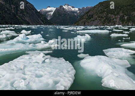 Kleine Eisberge bekannt als bergy Bits in LeConte Bucht in der Nähe des LeConte Gletscher in Petersburg Island, Alaska schweben. Die eisberge Kalben aus dem nahe gelegenen LeConte Gletscher, das ist das südlichste Tidewater Gletscher der nördlichen Hemisphäre. Stockfoto