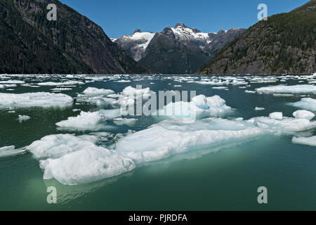 Kleine Eisberge bekannt als bergy Bits in LeConte Bucht in der Nähe des LeConte Gletscher in Petersburg Island, Alaska schweben. Die eisberge Kalben aus dem nahe gelegenen LeConte Gletscher, das ist das südlichste Tidewater Gletscher der nördlichen Hemisphäre. Stockfoto