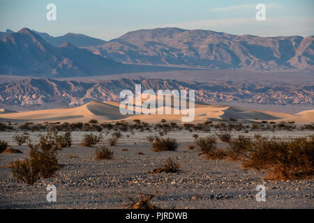 Mesquite flachen Sand Dünen, Amargosa Range in Distanz, Sonnenuntergang, Death Valley National Park, Kalifornien, USA Stockfoto