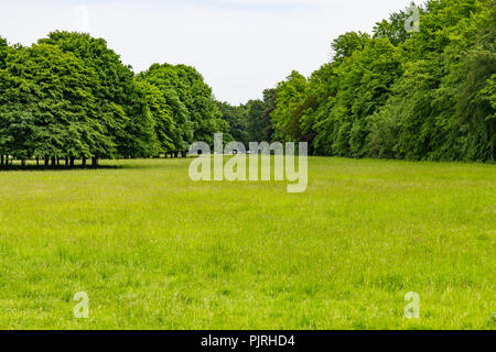 Felder und Bäume im Phoenix Park, Dublin, Irland Stockfoto