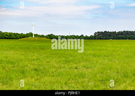 Kreuz, Felder und Bäume im Phoenix Park, Dublin, Irland Stockfoto