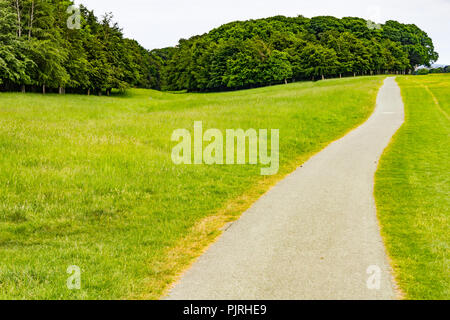 Felder und Bäume im Phoenix Park, Dublin, Irland Stockfoto