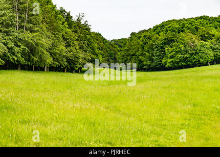 Felder und Bäume im Phoenix Park, Dublin, Irland Stockfoto