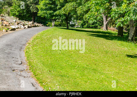 Felder und Bäume im Phoenix Park, Dublin, Irland Stockfoto