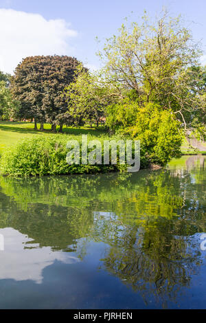 Felder und Bäume im Phoenix Park, Dublin, Irland Stockfoto