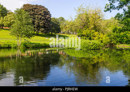 Felder, See und Bäume im Phoenix Park, Dublin, Irland Stockfoto