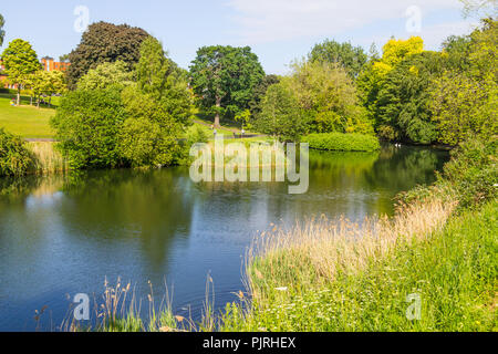 Felder, See und Bäume im Phoenix Park, Dublin, Irland Stockfoto