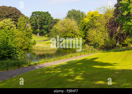 Felder, See und Bäume im Phoenix Park, Dublin, Irland Stockfoto