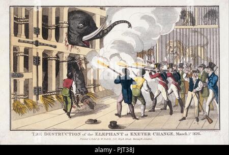 Rülpsen, William - Drucken; Gravur - Die Zerstörung der Elefant an der Exeter 'Ändern' zerstört. Stockfoto