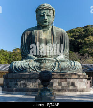 Der daibutsu (Große Buddha Statue) an Kotokuin, einem Tempel in Kamakura, Japan. Stockfoto