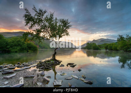 Sonnenaufgang am Llyn Padarn an Lamberis auf Snowdonia National Park in Wales Stockfoto