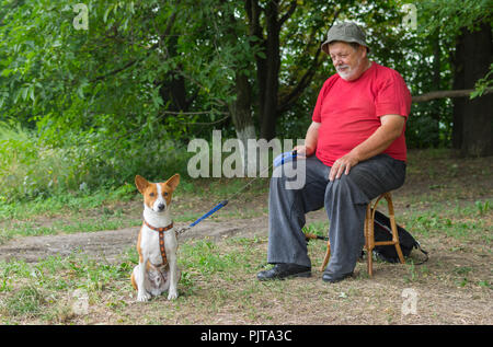 Patienten basenji Hund auf dem Boden sitzend wartet, bis seine Senior Master Abschluss ausruhen und aktives Spiel mit reizenden Hund Stockfoto