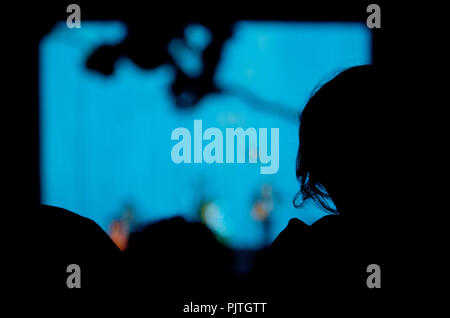 Die saint-amour Literatur Abend von Behoud De Begeerte, gewidmet Autor Hugo Claus (Belgien, 02.02.2013) Stockfoto