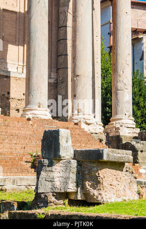 Alte Spalten der Tempel des Antoninus und der Faustina, zur Kirche von San Lorenzo in Miranda, Forum Romanom (Forum Romanum), Rom, Italien Stockfoto