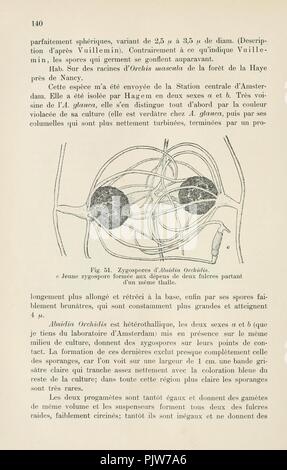 Beiträge Zur Kryptogamenflora der Schweiz (Seite 140) Stockfoto