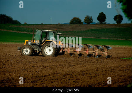 Ein Bauer seinen Acker Pflügen in Bierbeek (Belgien, 29.10.2009) Stockfoto